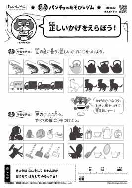 正しいかげをえらぼう！