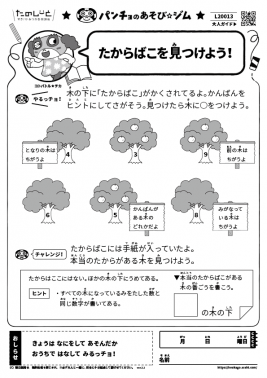たからばこを見つけよう!