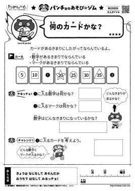 何のカードかな？