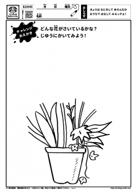 どんな花がさいているかな？　じゆうにかいてみよう！
