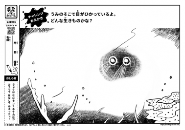 うみのそこで目がひかっているよ。どんな生きものかな？