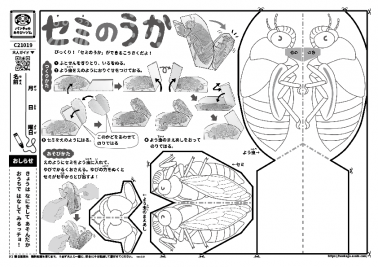 セミのうか