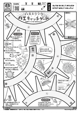 ハエトリソウ　ハエキャッチゲーム