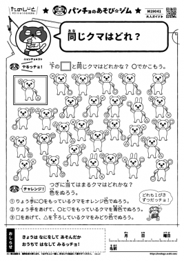 同じクマはどれ？