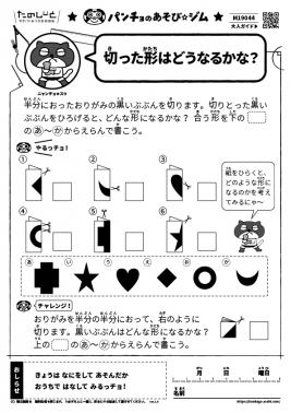 切った形はどうなるかな？