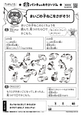 まいごの子ねこをさがそう!