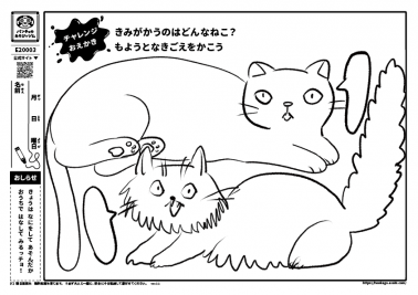 きみがかうのはどんなねこ？もようとなきごえをかこう
