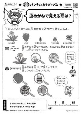 虫めがねで見える形は？